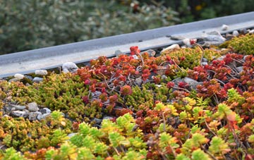 the cost of Boothby Graffoe green roof installation